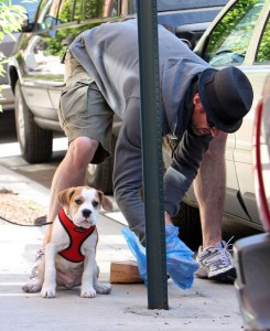 Anche Hugh Jackman la raccoglie