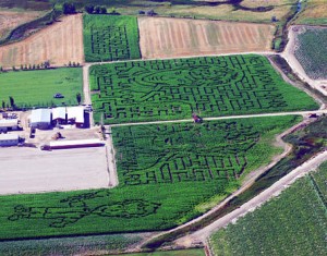 Perdendosi in Twilight