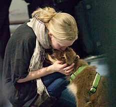 Amanda Seyfried preferisce i cani