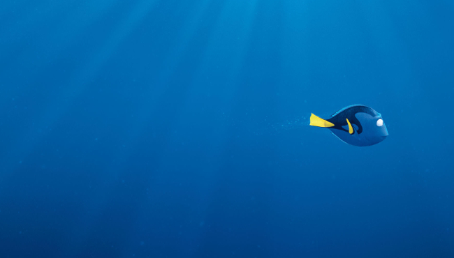 Finding_Dory